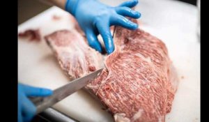 Près de 800 kg de viande avariée polonaise retrouvés en France dans neuf entreprises agroalimentaires