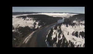 Etats Unis, Wyoming : rivière, forêt, brume dans le parc de Yellowstone