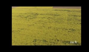 France : ferme-château au milieu des champs de colza