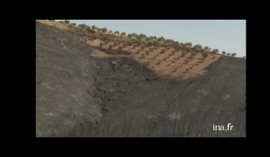 Grèce, île d'Eubée : collines incendiées