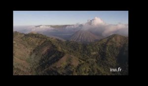 Indonésie : volcan Bromo et forêt