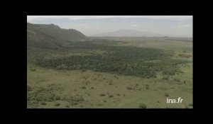 Tanzanie : Rift, falaise couverte de végétation