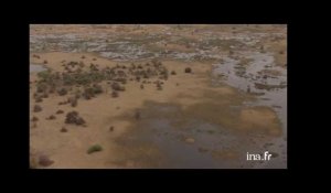 Botswana : savane, limite marais