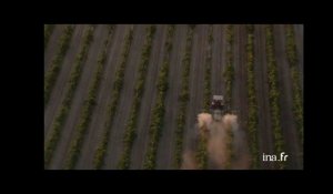 Etats Unis, Californie : vignes et pesticides