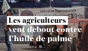 Huile de palme : dépôts de carburants et raffineries Total bloquées par les agriculteurs