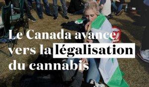 Le Canada, 1er pays du G7 en passe de légaliser le cannabis 