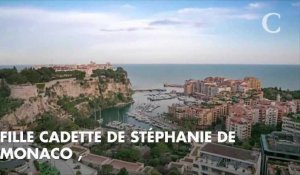 PHOTO. Camille Gottlieb, la fille de Stéphanie de Monaco, pose topless face à la mer