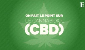 « Cannabis légal », CBD et THC : on fait le point