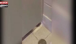 Un pervers pris en flagrant délit en train de filmer des femmes dans les toilettes publiques (vidéo) 
