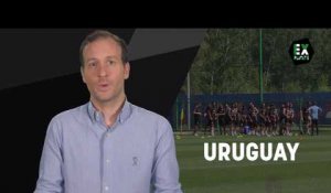 Face aux Bleus : Uruguay, attention danger !