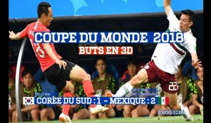 Buts en 3D : Corée du Sud - Mexique (1:2) Coupe du Monde 2018