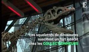 Pour 2 millions d'euros, un collectionneur s'est offert... un dinosaure