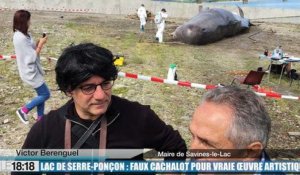 Lac de Serre-Ponçon : faux cachalot pour vraie oeuvre artistique