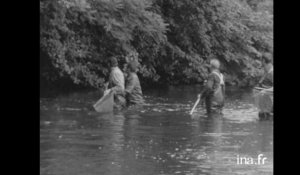 La pêche électrique dans une rivière de l'Yonne