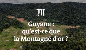 Qu'est-ce que la « Montagne d'or » qui fait polémique en Guyane ?