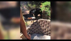 Un homme se bat avec un ours pour protéger son barbecue (vidéo)
