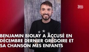 "Je n'aime pas ce déballage public" : Christophe Willem s'exprime sur le clash Benjamin Biolay/Grégoire