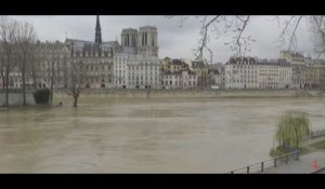 Crue à Paris : la Seine va atteindre le même pic qu'en 2016 (Vidéo)