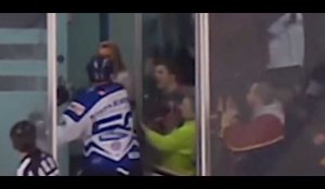 Un hockeyeur sur glace frappe violemment un supporter (vidéo)