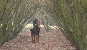 Italie: un médecin visite ses patients à cheval