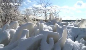 Les bords du lac Michigan se parent de glace