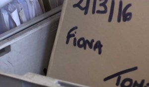 Affaire Fiona: la cour rejette une nouvelle demande de renvoi