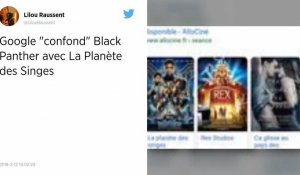 Allociné et Google piégés, le film Black Panther « confondu » avec La Planète des singes !