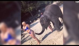 Une star du fitness sexy se prend une fessée par un éléphant (vidéo)