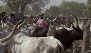 Le conflit agriculteurs/éleveurs s'intensifie au Nigeria