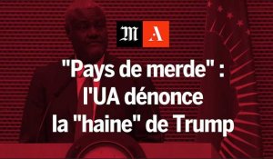 "Pays de merde" : l'Union africaine dénonce la haine de D. Trump