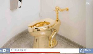 Un musée propose à Trump des toilettes en or - ZAPPING ACTU HEBDO DU 27/01/2018
