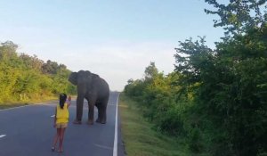 Sri Lanka : Une petite fille maîtrise un éléphant sauvage, les images impressionnantes (Vidéo)
