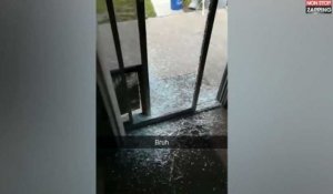 Un chien surexcité détruit une baie vitrée en jouant à la balle (vidéo)