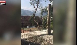 En coupant un arbre, un homme détruit le toit d'une maison (vidéo)