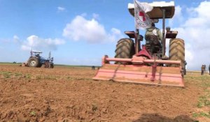 Gaza: des fermiers autorisés de nouveau à cultiver leurs terres