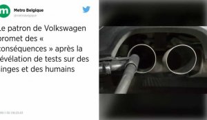 Tests sur des singes. Le patron de Volkswagen promet des « conséquences » internes.