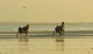 Profession : éleveur de chevaux de course en Normandie