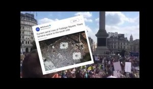 La manifestation anti-Trump bloque le centre de Londres