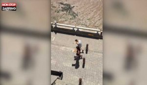 Angleterre : Des goélands attaquent des touristes pour voler de la nourriture (Vidéo)