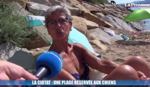 La Ciotat : une plage réservée aux chiens