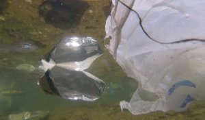 Plus de 100 millions de tonnes de plastique dans les océans