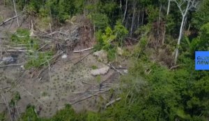 Les premières images d'un peuple isolé d'Amazonie