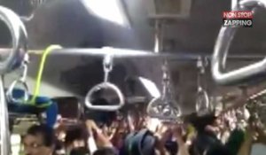 Inde : un serpent s'incruste dans le métro et sème la pagaille (Vidéo)
