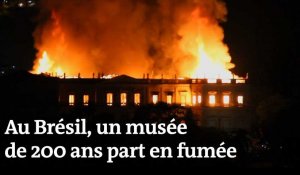Incendie à Rio : un musée brésilien part en fumée