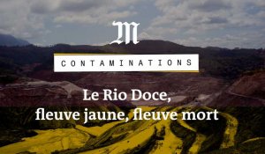 Contaminations : au Brésil, la boue toxique a tué le Rio Doce