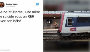 Seine-et-Marne. Une mère et son bébé sont morts percutés par un train.