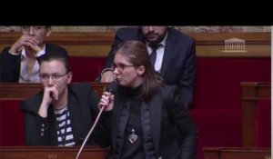 Chats : la drôle d'idée d'une députée à l'Assemblée