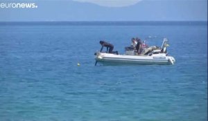 Grèce : des plongeurs se mobilisent pour sauver des hippocampes