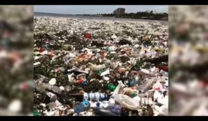 Guillaume Canet alerte sur la pollution des océans dans une vidéo Instagram