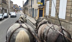 Alençon. Découvrir la ville en calèche 